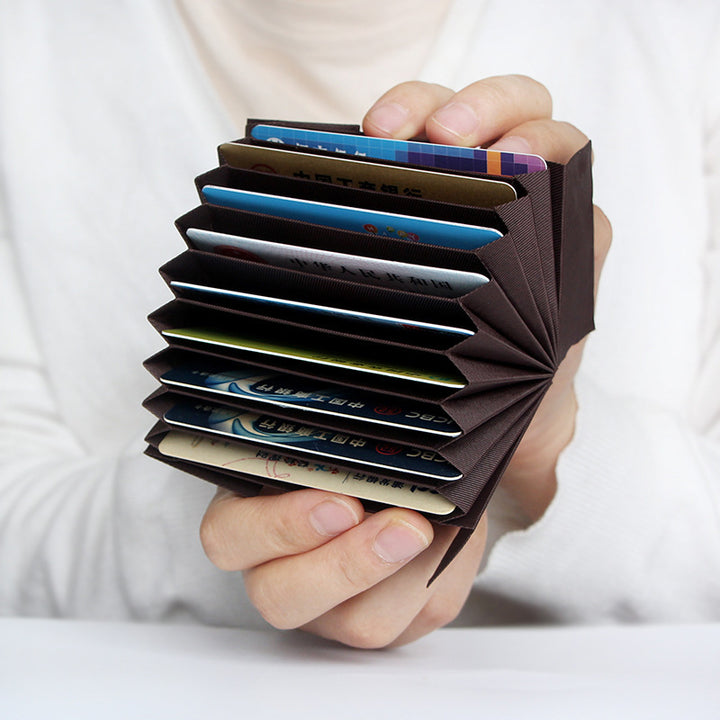 Multi-Compartment Card Organizer