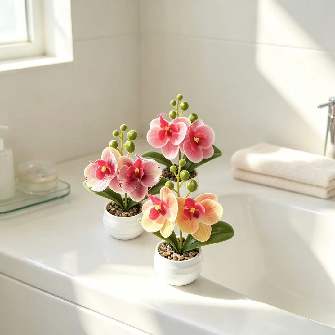 Decorative Orchid Planter