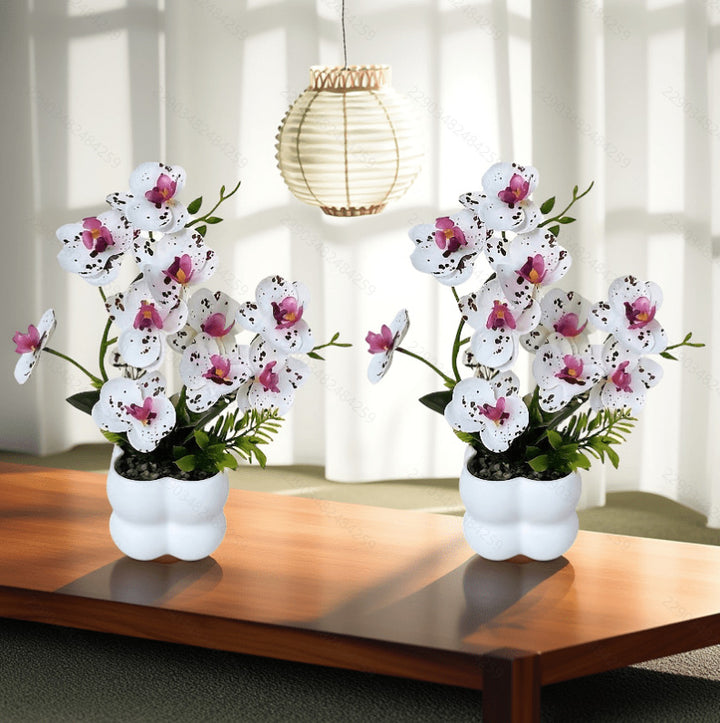 Lifelike Orchid Floral Display