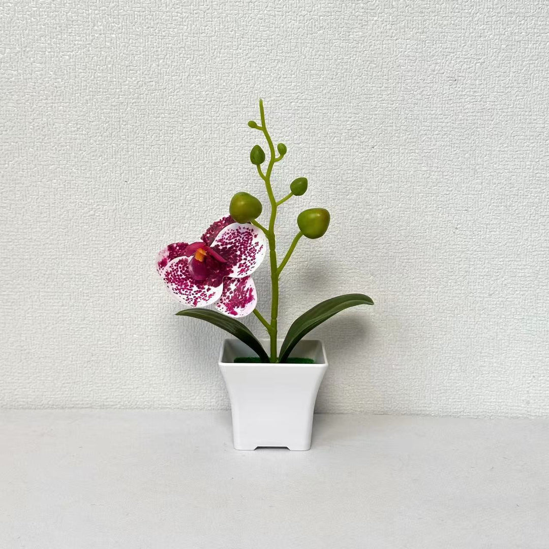 Lifelike Miniature Orchid Plant