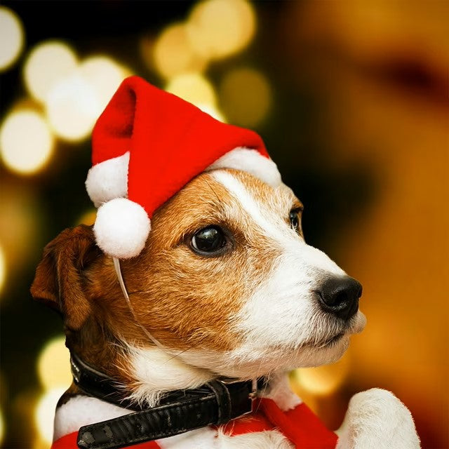 Festive Christmas hat