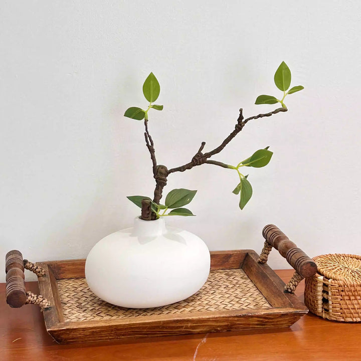 Contemporary Decorative Ceramic Vase