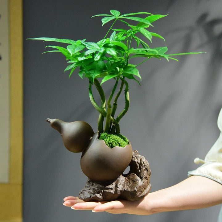 Decorative Potted Plant Arrangement