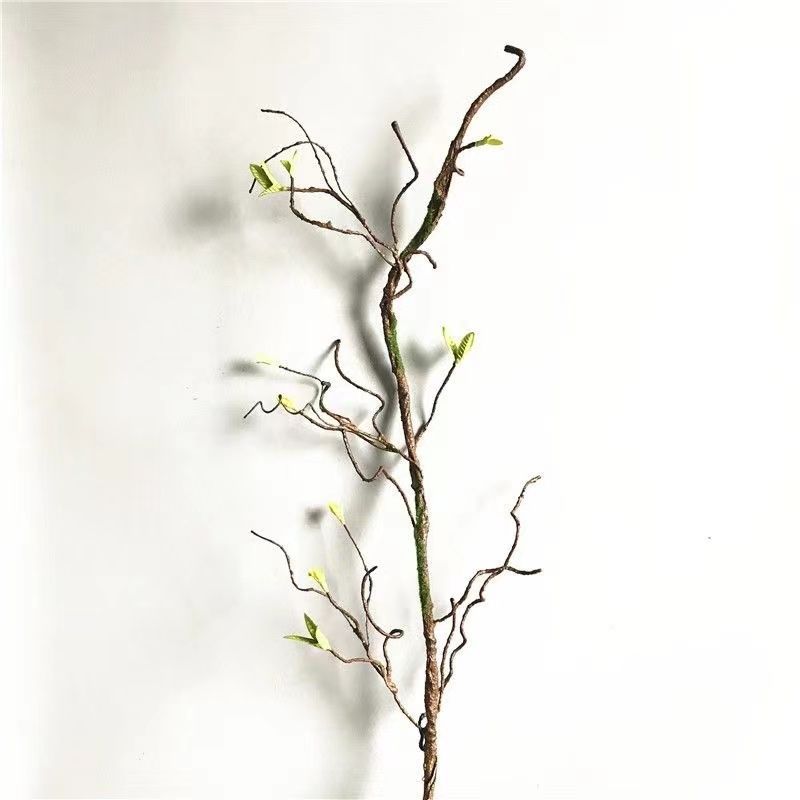Decorative Natural Branch Arrangement