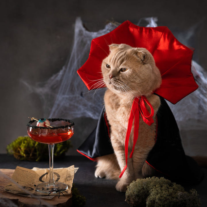 Hooded cape for costume parties