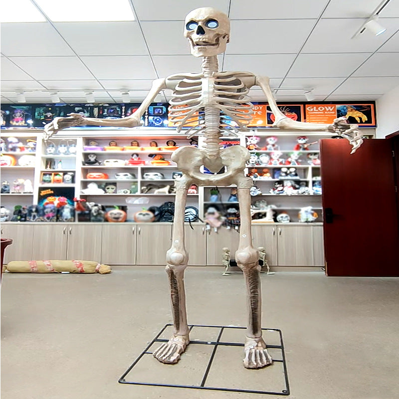 Life-Size Anatomical Skeleton Prop Kalsten