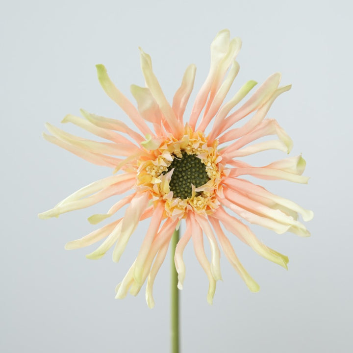 Realistic Sunflower Stem