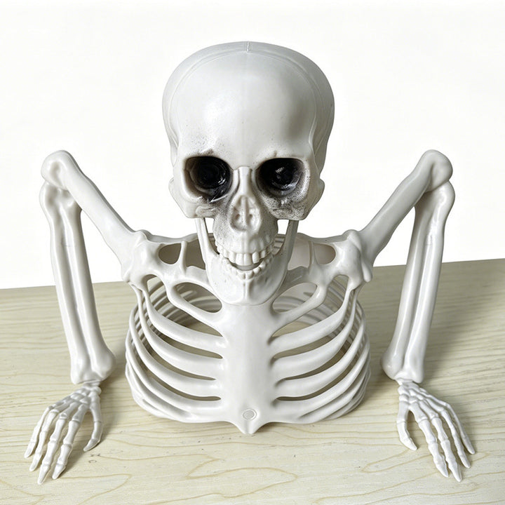 Life-size, posable decorative skeleton made of sturdy plastic with movable joints and stable stand construction