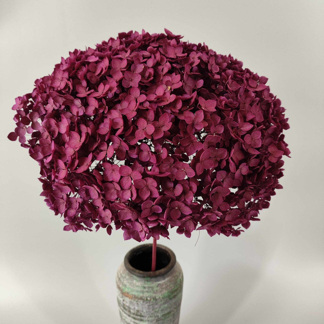 Dried Floral Petals