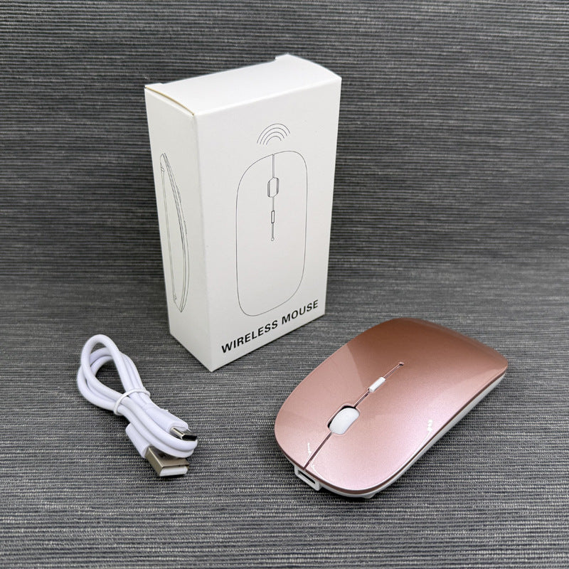 Wireless Ergonomic Mouse Kalsten