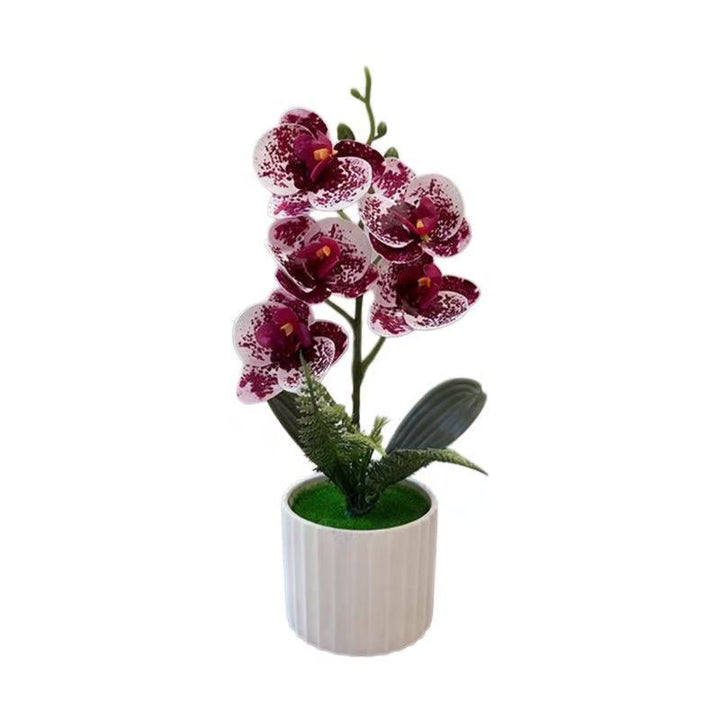 Decorative Orchid Plant Arrangement 1790480742 for Decor