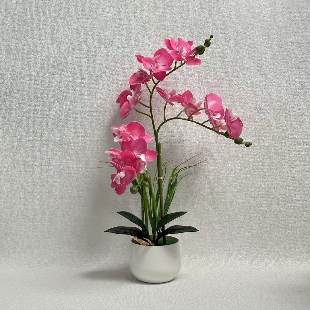 Exquisite Artificial Orchid Display
