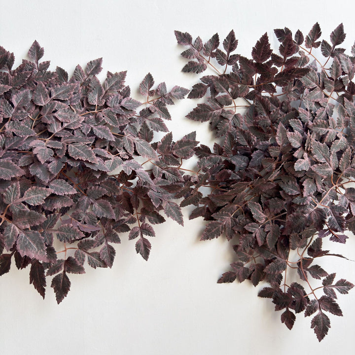 Elegant Decorative Leaf Stem