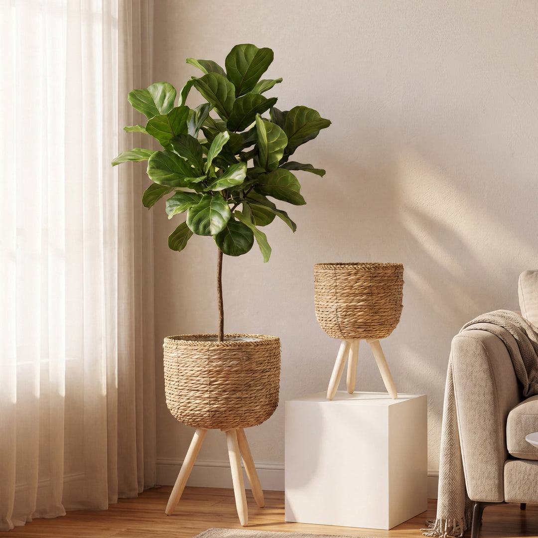 Kalsten Planter