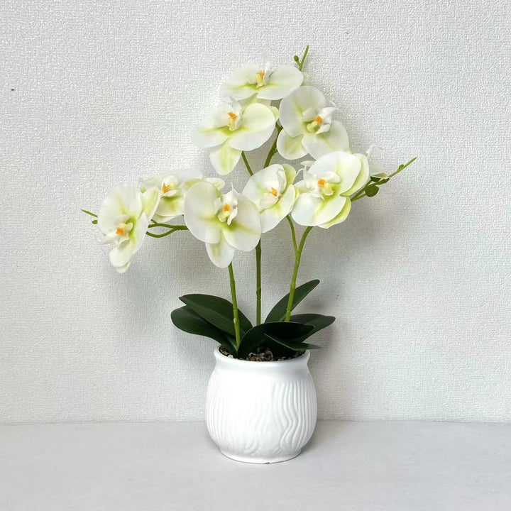 Elegant Orchid Floral Display