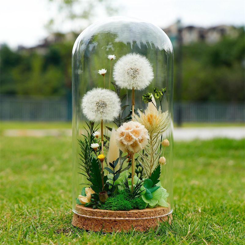 Decorative Glass Dome with Dandelion