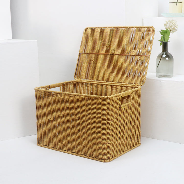 Woven Storage Chest with Lid Kalsten