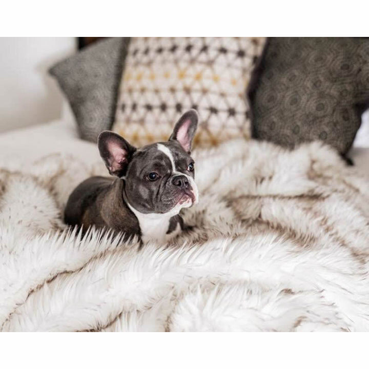 Unisex Snuggle Blanket Kalsten