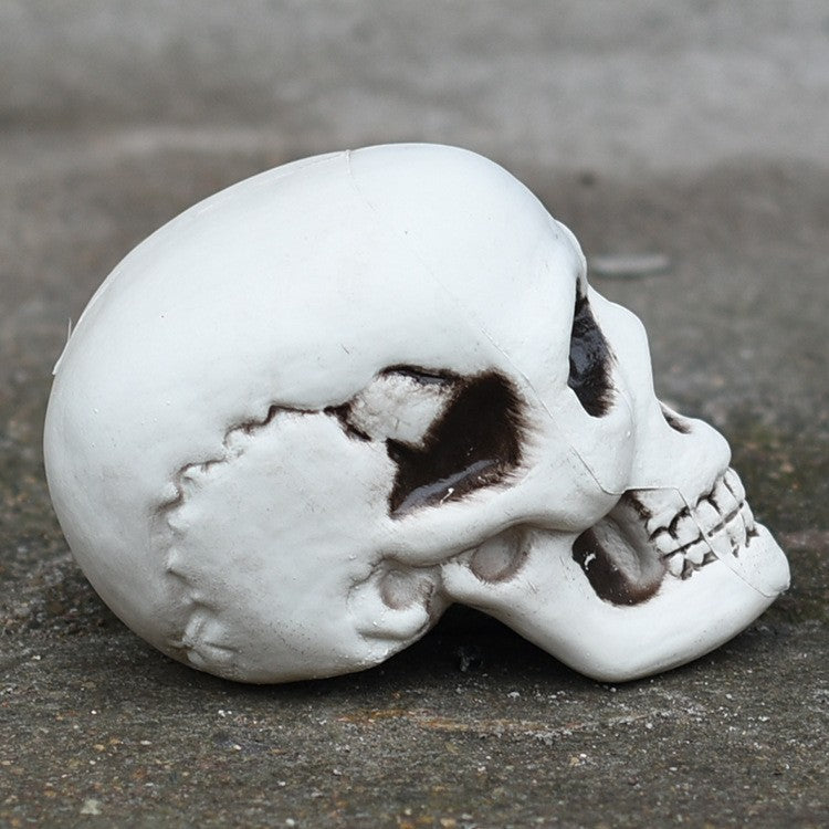 Decorative Skull Phone Stand Kalsten 1790561032