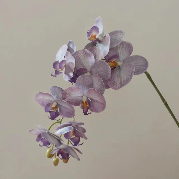 Lifelike Orchid Floral Stem
