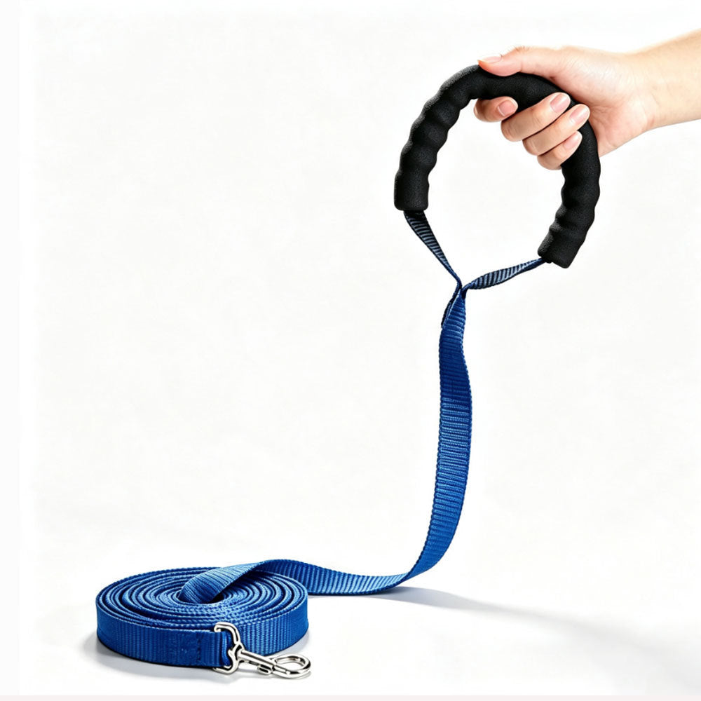 Dog Training