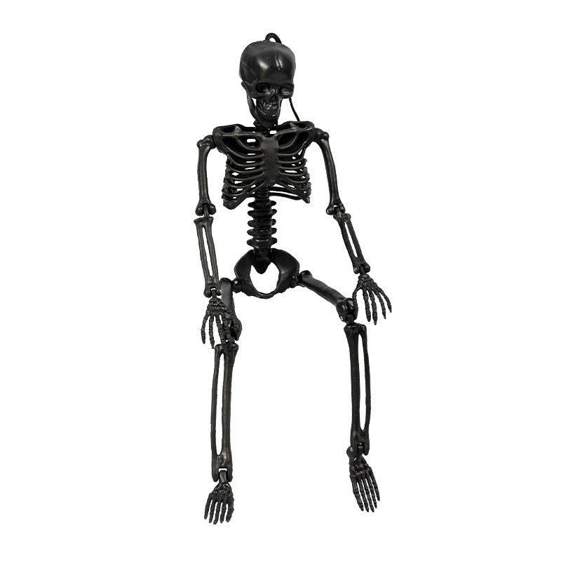 Jointed Posable Skeleton Figures Kalsten