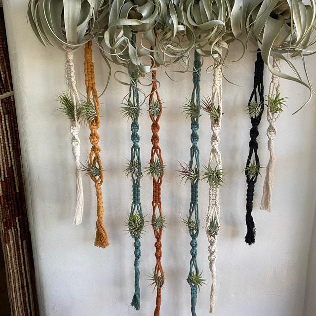 Elegant Macrame Plant Wall Hanging Kalsten