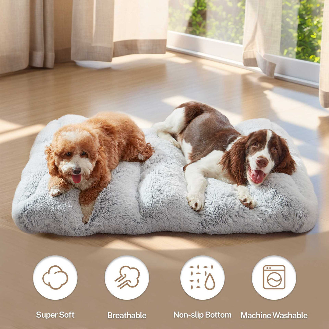 Orthopedic Dog Bed