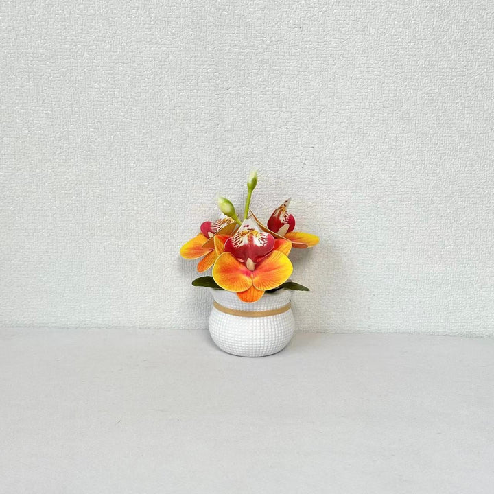 Decorative Potted Orchid Arrangement for Home Decor