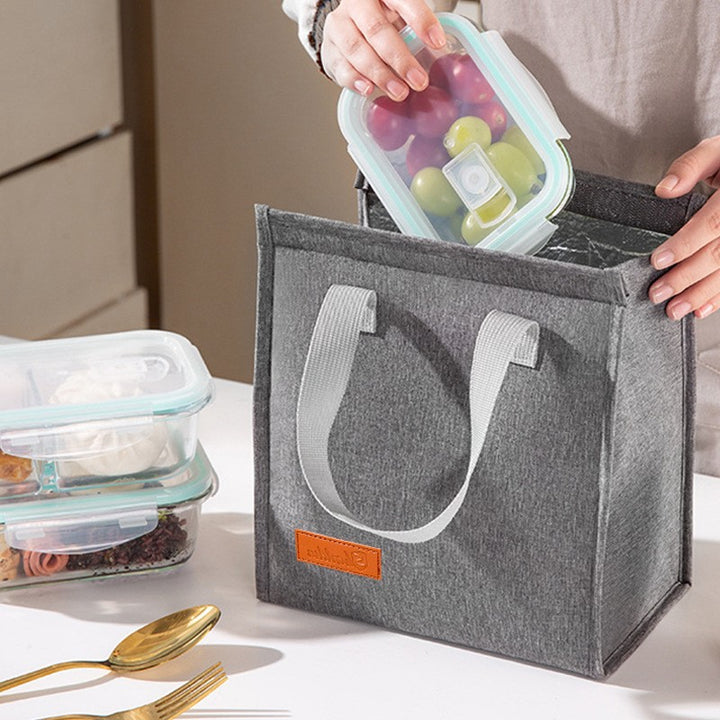 Stylish Insulated Lunch Tote Kalsten