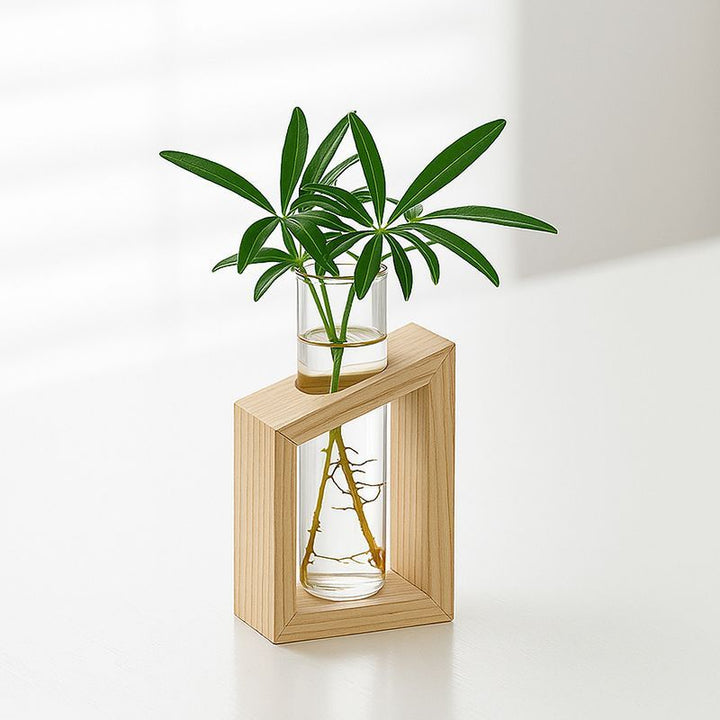 Elegant Glass Plant Holder Set for Home Decor