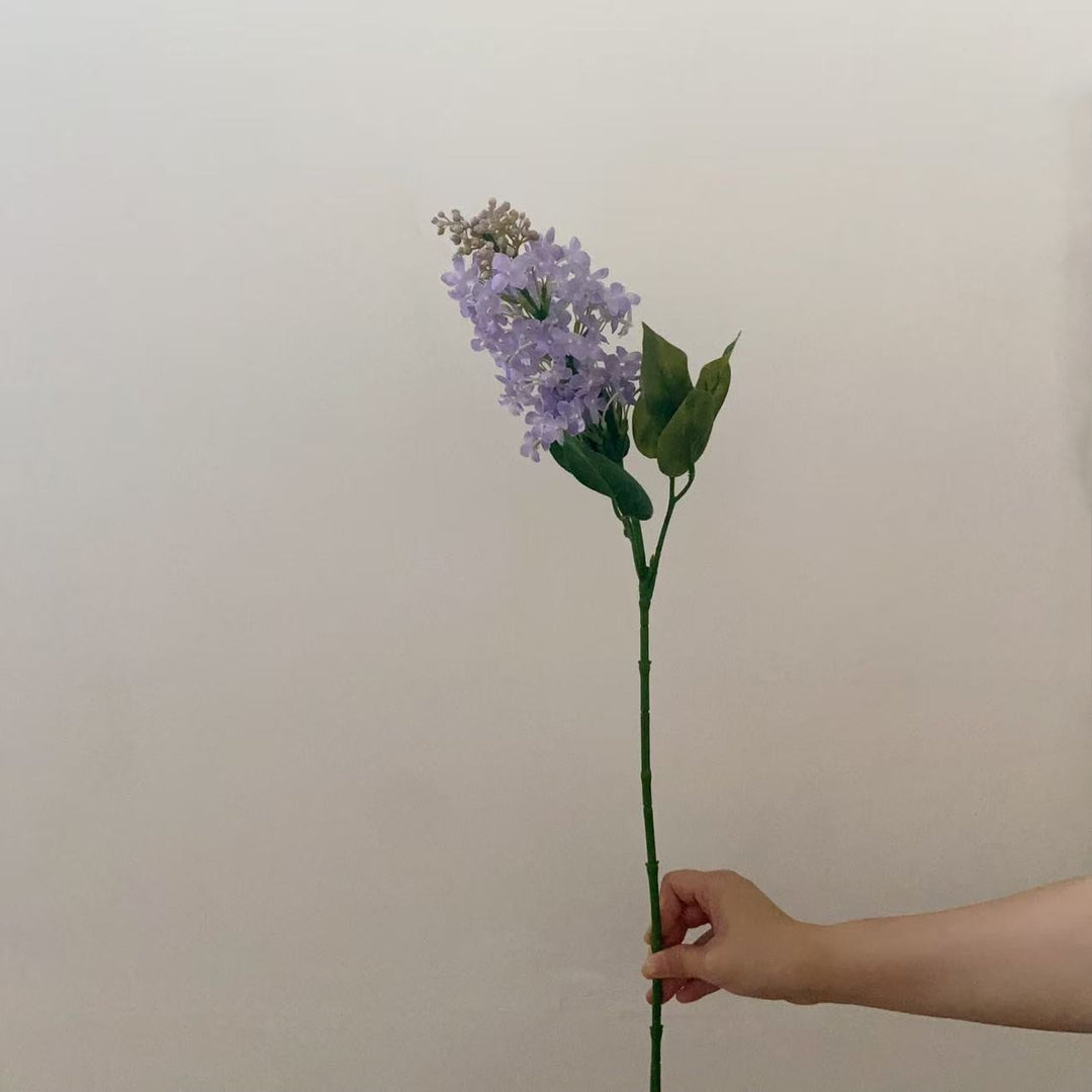 Realistic Lilac Flower Stem