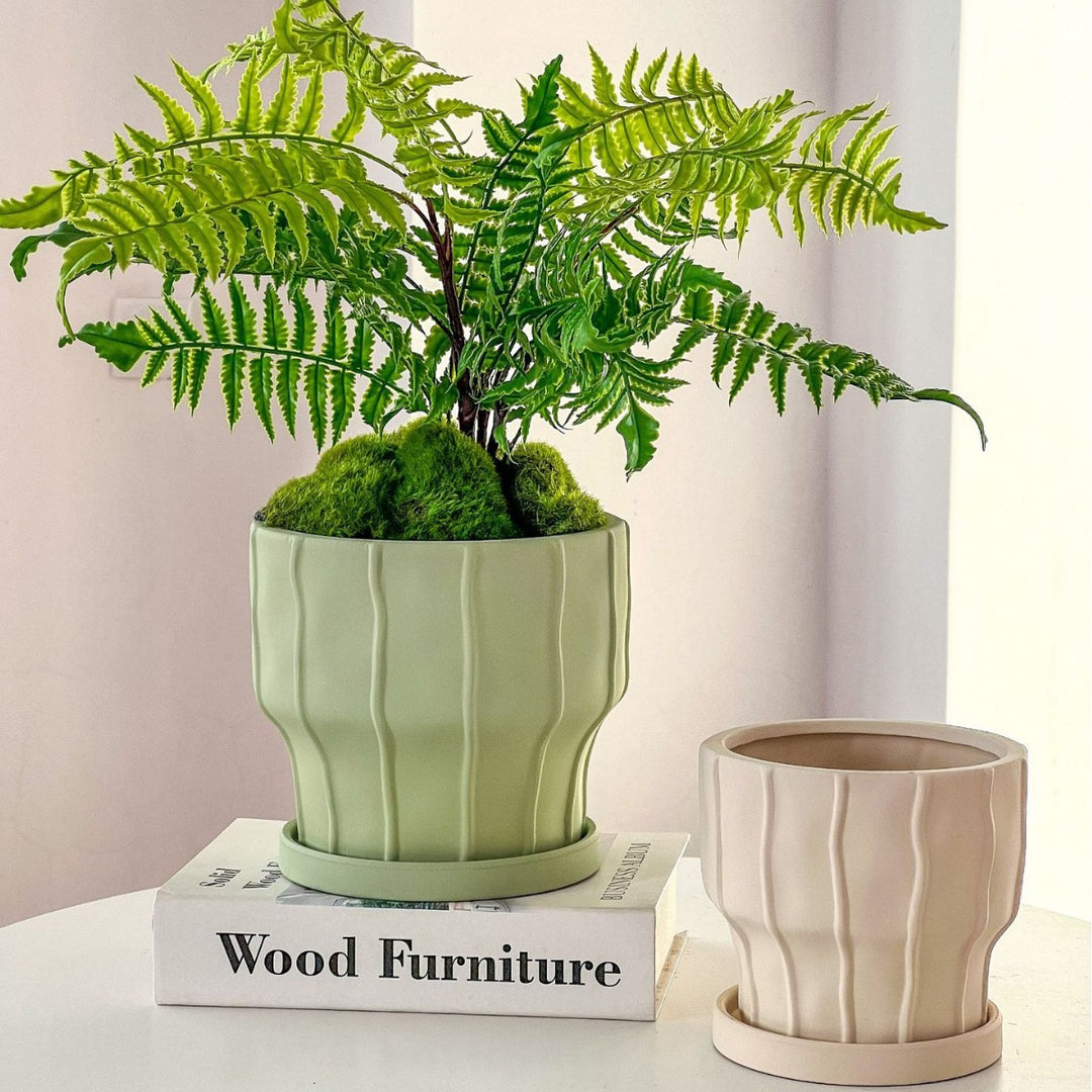 Elegant Planter for Beautiful Indoor Plant Displays