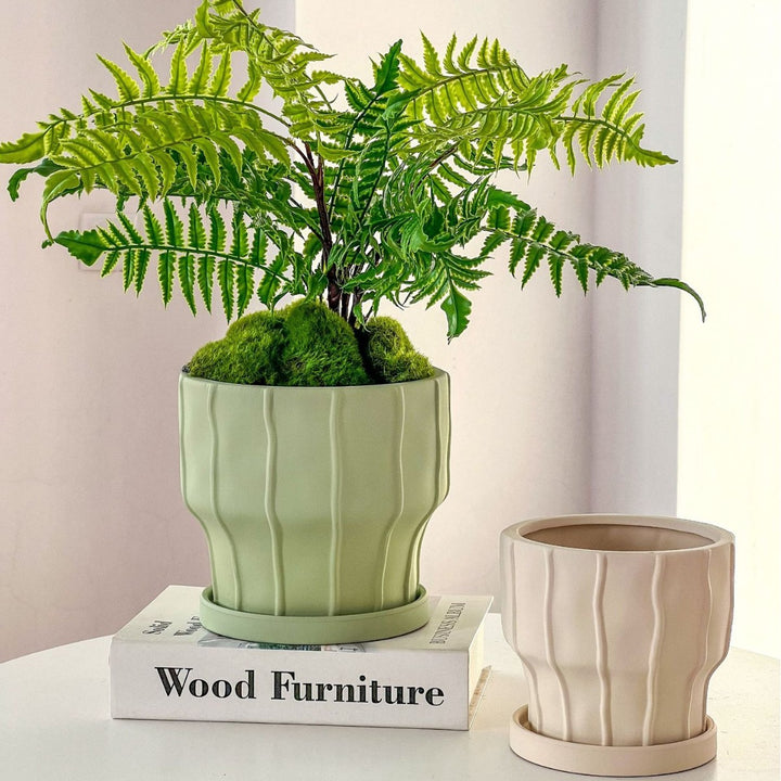 Elegant Planter for Beautiful Indoor Plant Displays