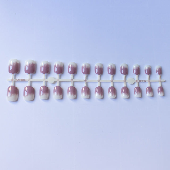 Elegant Ombre Nail Art Set
