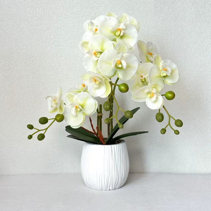 Realistic Orchid Floral Arrangement
