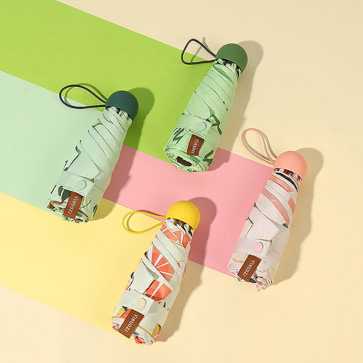 Ladies Insulated Water Bottle with Creative Avocado Packaging Kalsten