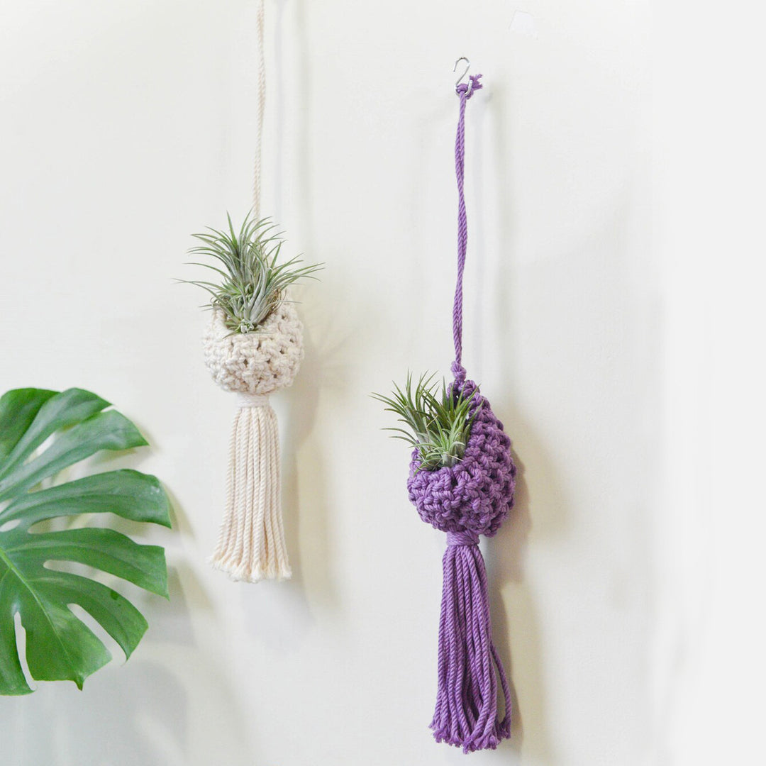 Macrame Hanging Plant Holder with Decorative Tassel Kalsten