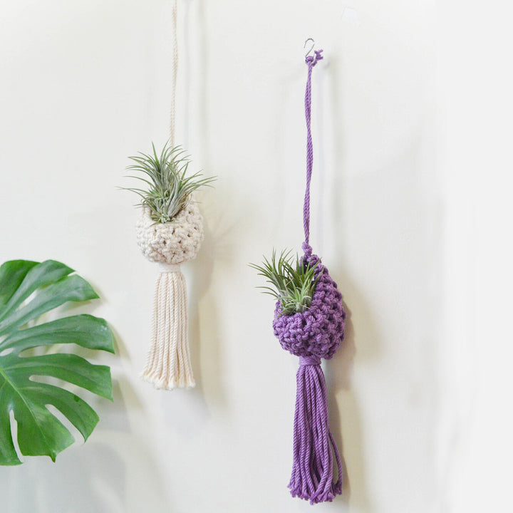 Macrame Hanging Plant Holder with Decorative Tassel Kalsten