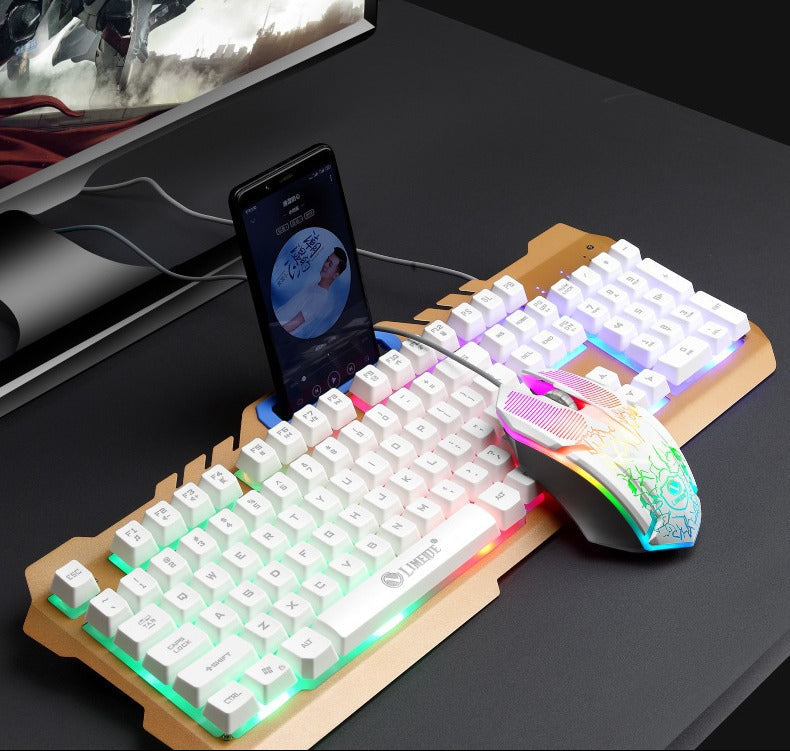 Mechanical Gaming Keyboard and High-Performance RGB Mouse Combo Kalsten