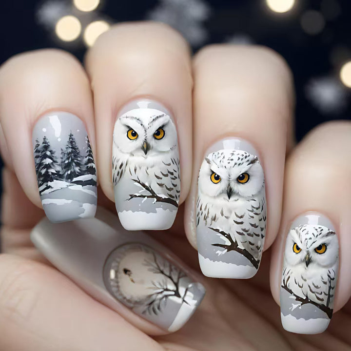 Artificial nails with owl design Kalsten