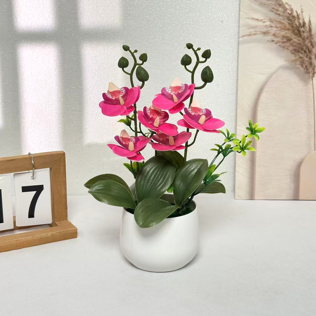 Orchid Floral Arrangement