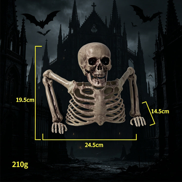 Realistic Skeleton Decoration Kalsten
