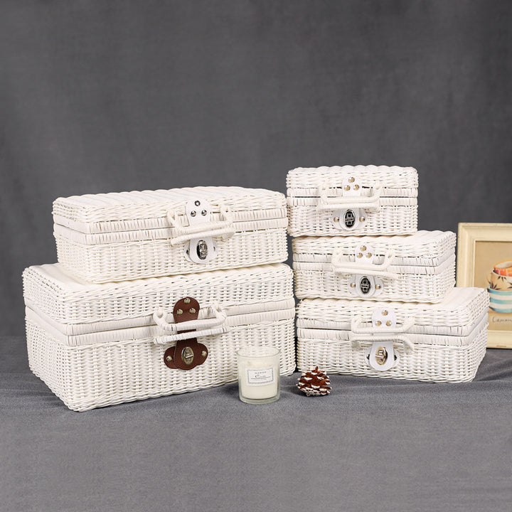 Chic Woven Storage Handbag Kalsten