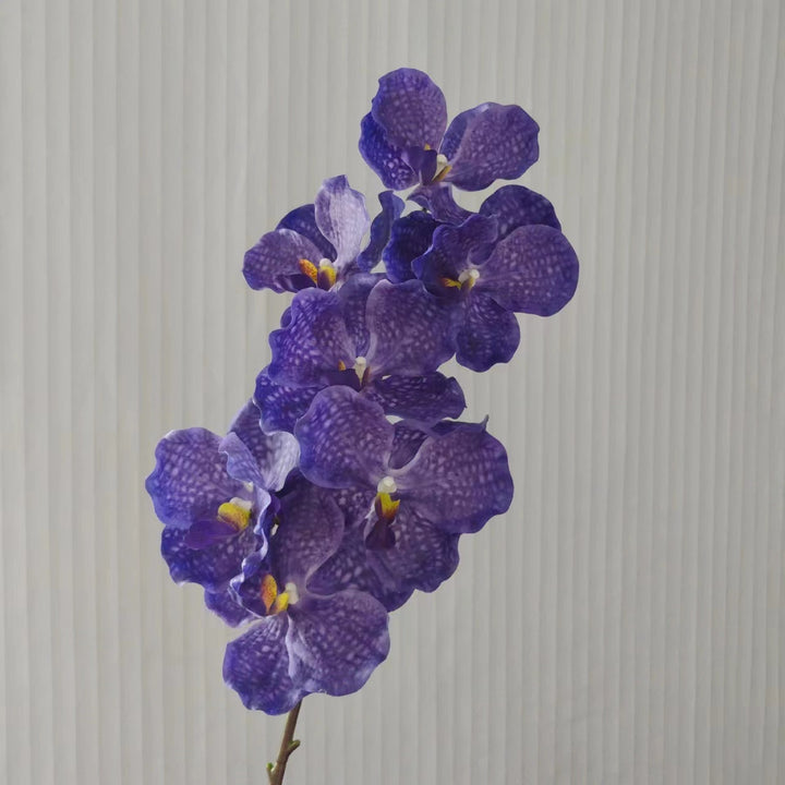 Realistic Orchid Stem