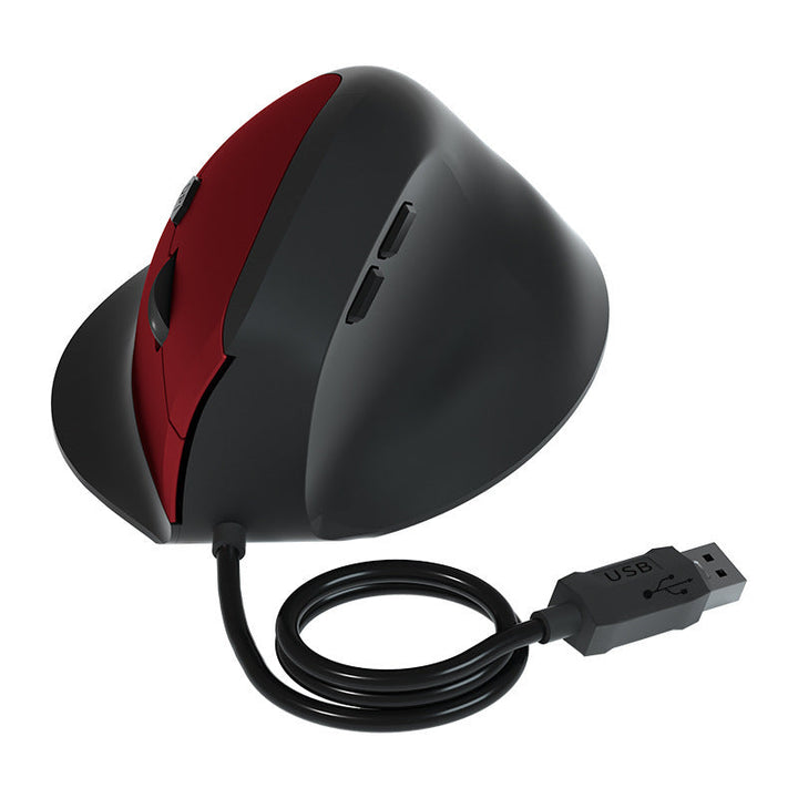 Vertical Ergonomic Wireless Mouse Kalsten