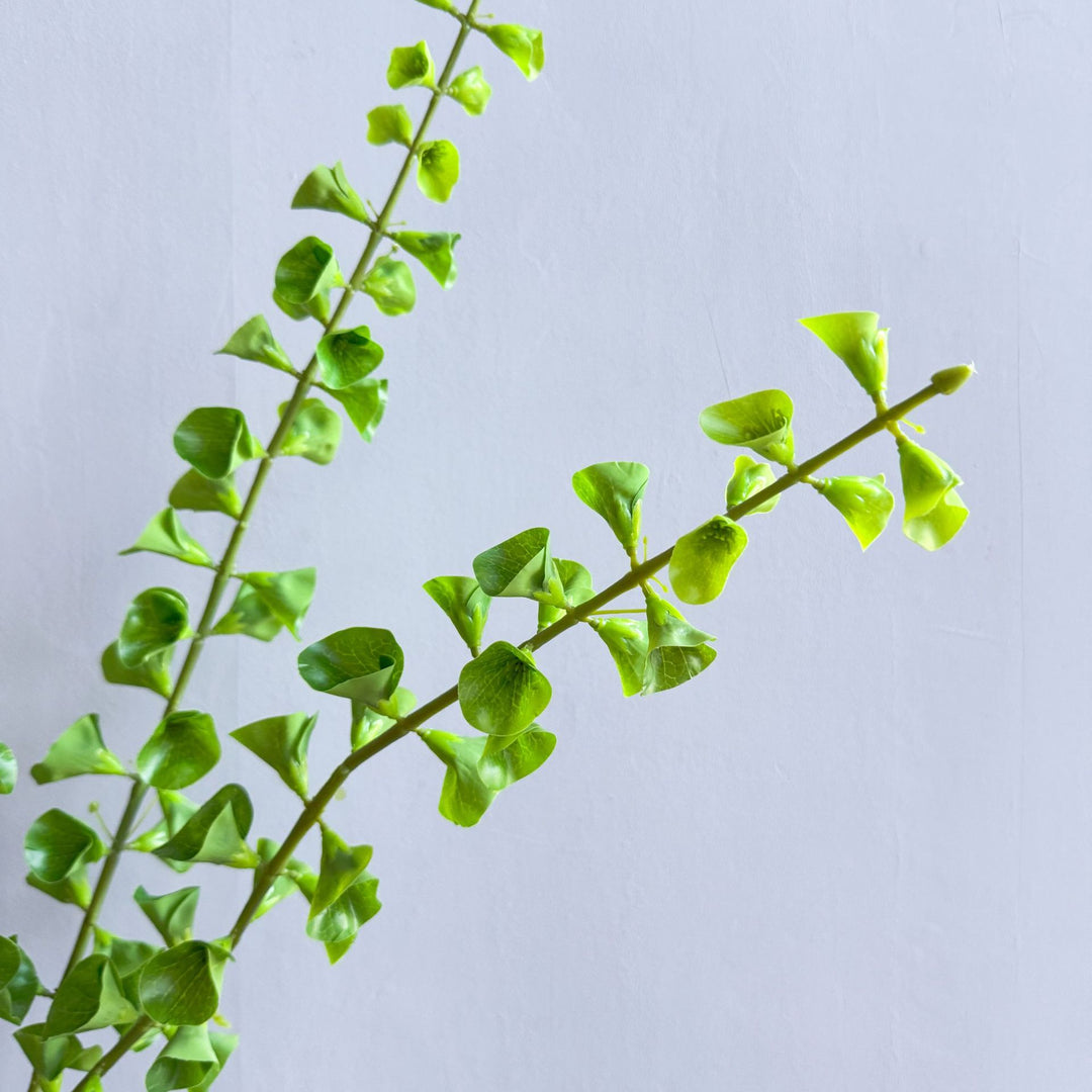 Stylish Indoor Plant Decor