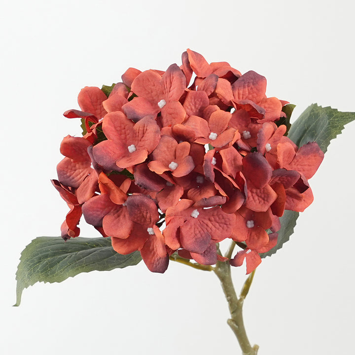 Decorative Hydrangea Stem