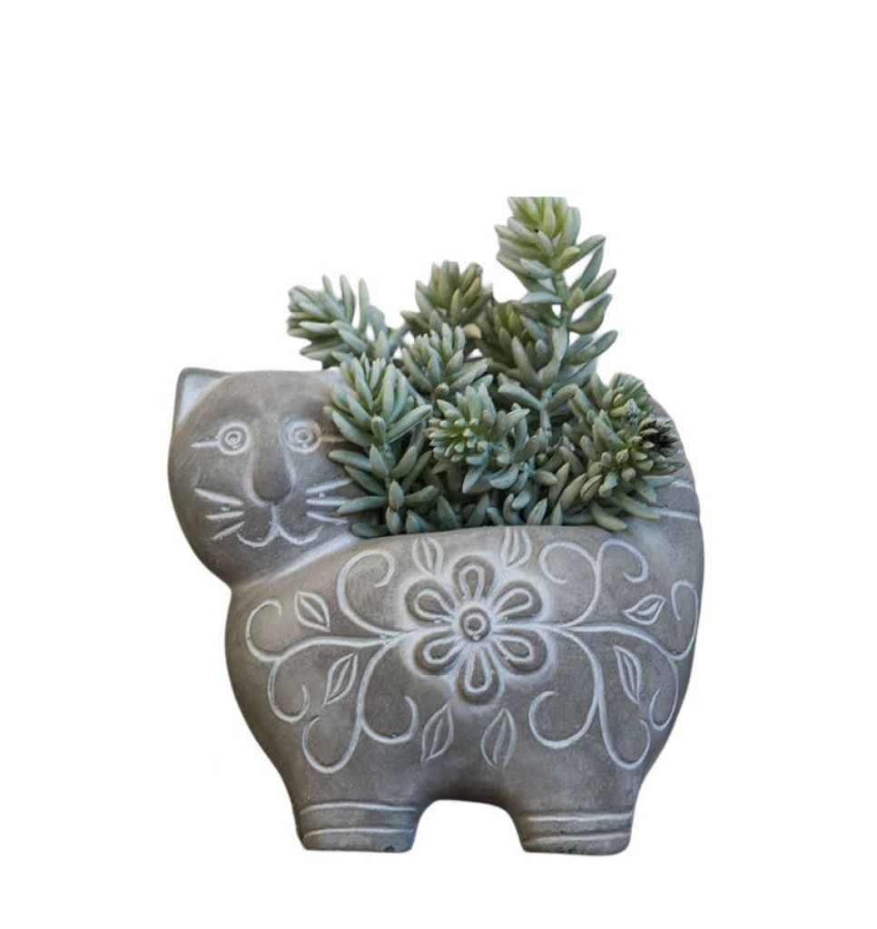 Decorative Plant Kalsten