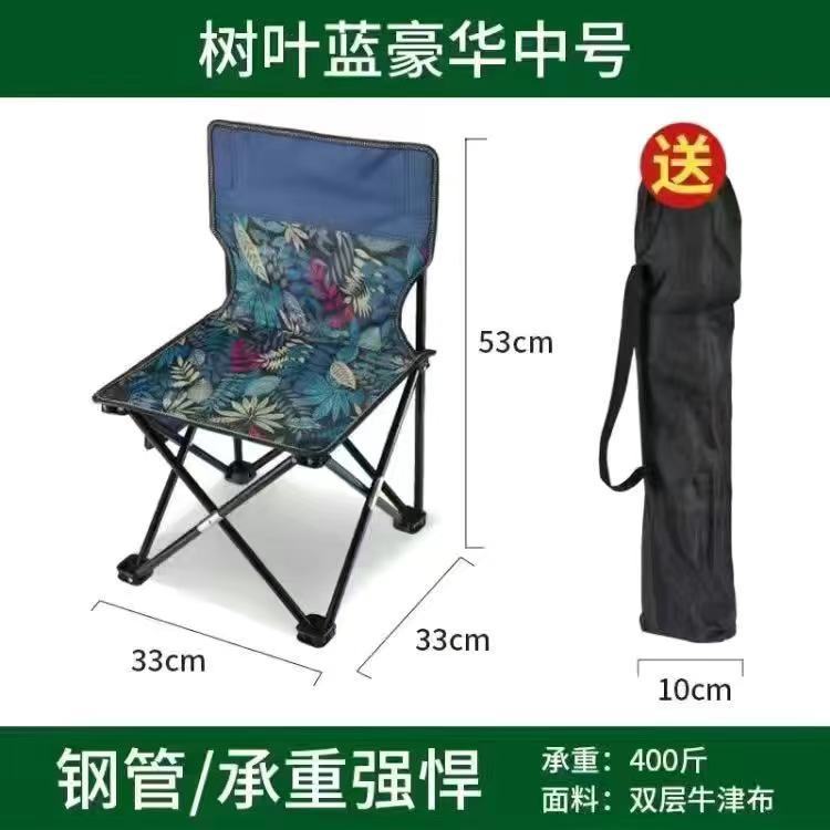Comfortable Folding Chair with Carry Bag Kalsten